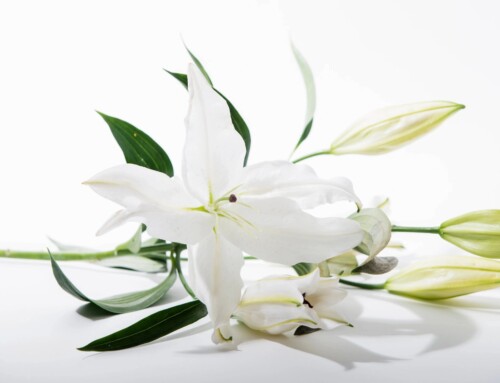 In Memory of George Floyd